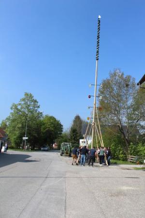 Maibaum aufstellen am Gasthaus Krodinger